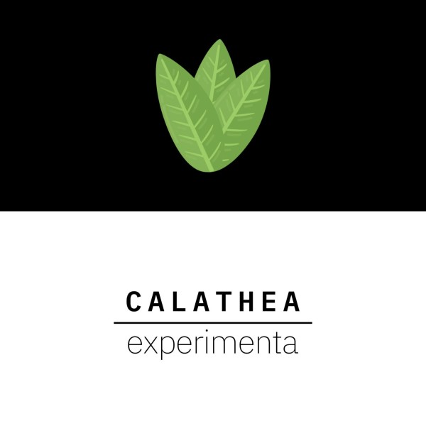 Reseña de Calathea Experimenta – Sello discográfico de Franco Falistoco.